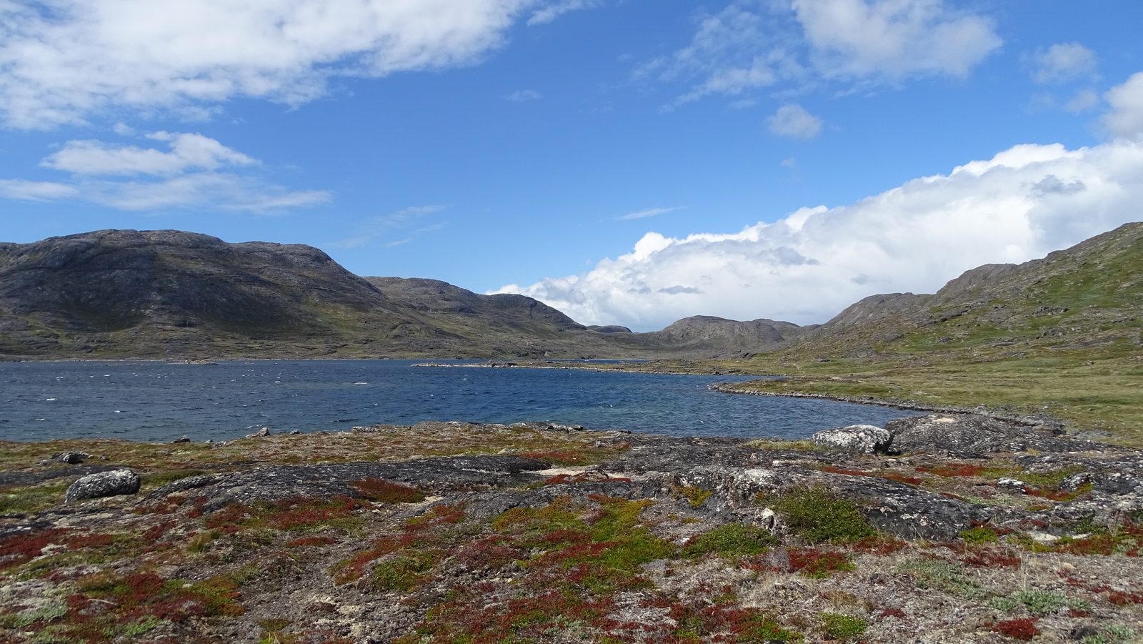 DSC01284.JPG